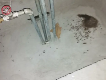 洱源卫生间测漏水价格明细