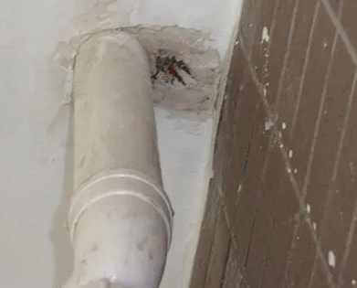 洱源漏水检测哪家好